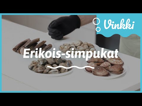 Erikois-simpukat | Kalan käsittely