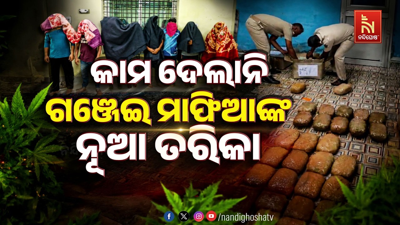 🔴Live | କାମ ଦେଲାନି ଗଞ୍ଜେଇ ମାଫିଆଙ୍କ ନୂଆ ତରିକା