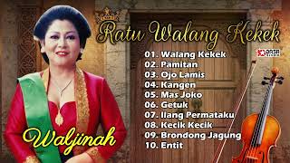 Download lagu WALDJINAH - RATU WALANG KEKEK @dasastudio mp3 Download lagu WALDJINAH - RATU WALANG KEKEK @dasastudio mp3