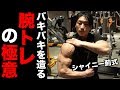 【バケモノ腕】シャイニー薊式バキバキに仕上げる腕トレの極意!