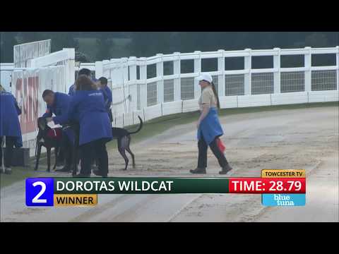 2018 STAR SPORTS DERBY - ROUND 3 HEAT 6 - T2 DOROTAS WILDCAT
