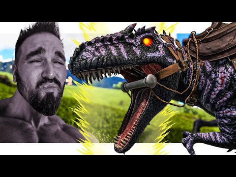 This Giga is the Ultimate Chad (DOX Ep14)