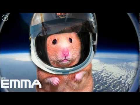 re Felix Baumgartner's supersonic freefall from 128k' Mission Highlights Mrs. Emma the Hamster  jump