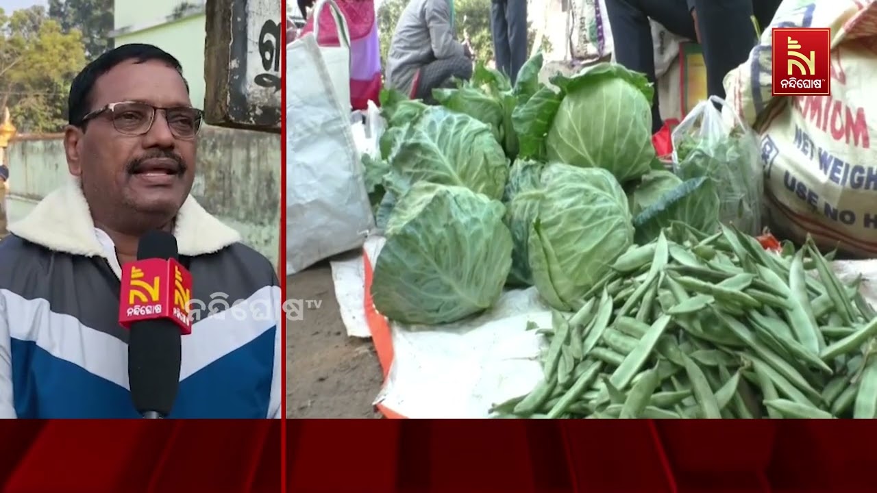 ଚାଷୀଙ୍କୁ ମିଳୁନି ଉଚିତ ପ୍ରାପ୍ୟ । ଶାଗମାଛ ଦରରେ ପନିପରିବା 