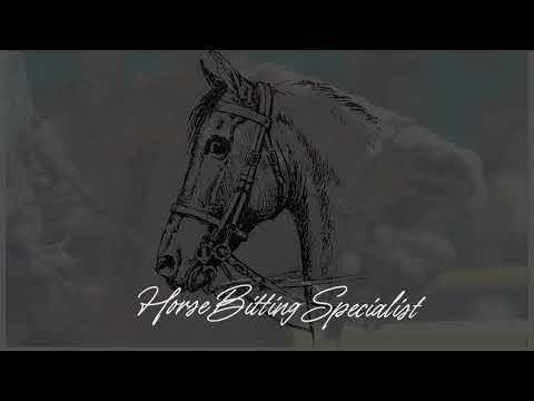 A look at common issues with the bit, the reins and the rider.#bits #bridles #equestrian #horse