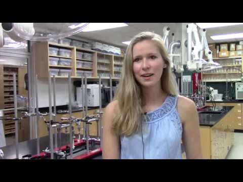 Meghan Harrison and her research on Lyme's Disease