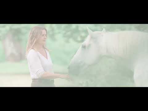 Wild Heart - Es braucht nur deinen ersten Schritt!