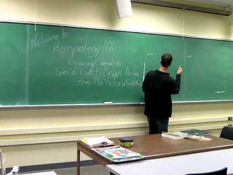 Growing Cannabis 2011