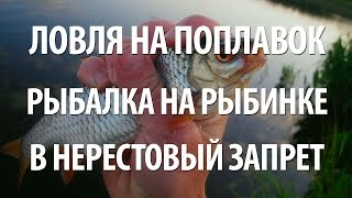 Майская рыбалка на рыбинском водохранилище