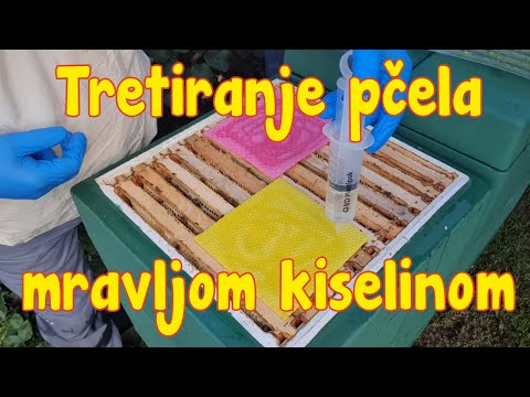 Tretiranje pcela protiv varoe mravljom kiselinom #pcelarstvo#pčelarstvo#bees#bienen#honey