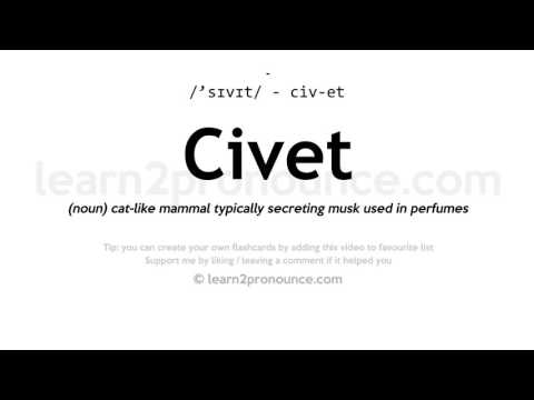 Pronunciation of Civet | Definition of Civet