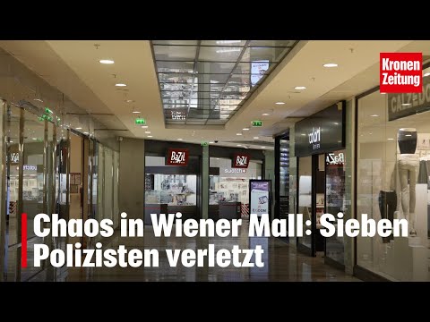 Chaos in Vienna mall: Seven police officers injured | krone.tv NEWS