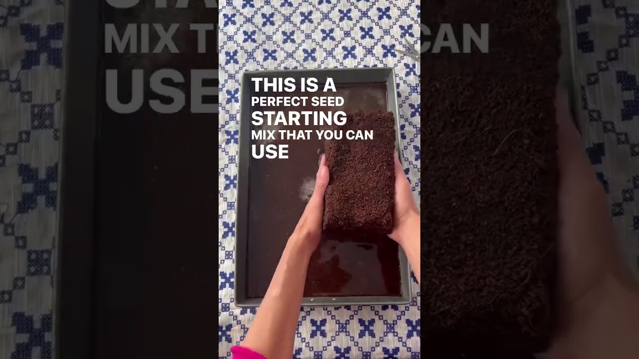 How to Use a Coco Coir Block for Indoor Seed Starting - a  Peat-Free Method