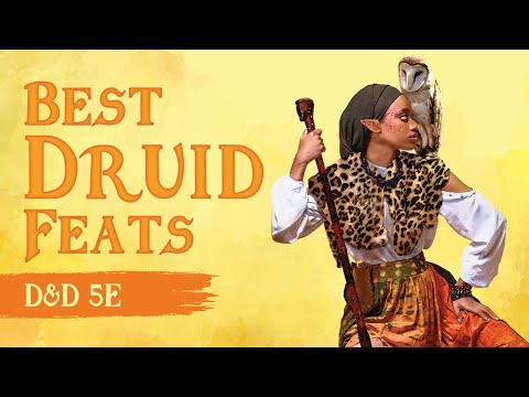 Top 10 Feats for Druids: D&D 5e Natural Selection 🍃🐗