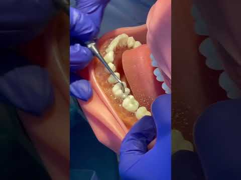 Day in the life of a Dental Hygiene student here at WCU