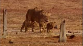 Download lagu Kwaya ya Mt. Augustino Chuo kikuu cha Muhimbili-Viumbe vya bwana mp3