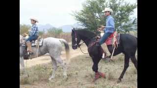 PLAYAS NEGRAS. CARLOS BERRELLEZA Y SUS GRANDES CADETES