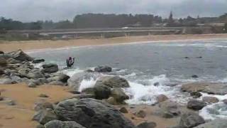 preview picture of video 'Buceo con  Juan Destungao  en Isla Negra Playa de las agatas'