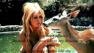 Edison Lighthouse  Love Grows (Where My Rosemary Goes)  With Lyrics