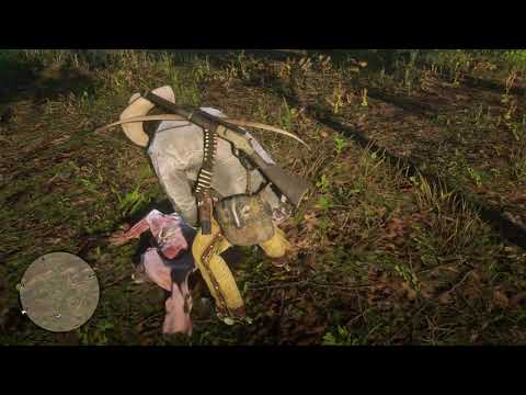 Red Dead Redemption 2 Clean cat kill