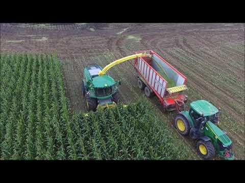 Mais 2017 Schleswig Holstein