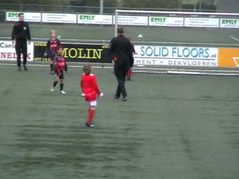 Ceasar 2-6 Bsv Limb. F1: Wassim