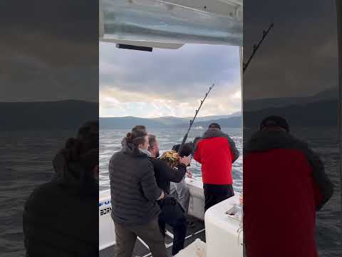 Fırtınada orkinos avı! #tunafishing #fishing