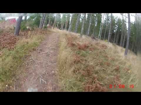 Närkes Terräng-DM (långa) 2016 - 12 km (Löparperspektiv, kort)