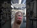 we do not recommend pre workout to sensitive people 🤷‍♂️..🔗 in bio..#gymmemes #memes #preworkout