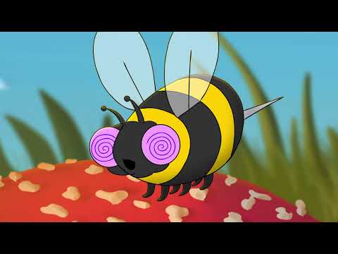 Bez x Doorly Feat. Firouzeh - Flying Bus