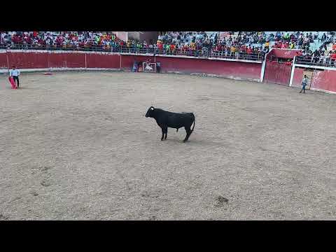 CORRIDA DE TOROS EN EL DISTRITO DE hUAQUIRCA/ANTABAMBA/APURIMAC.