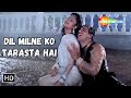Dil Milne Ko Tarasta Hai Govinda Ayesha Jhulka Alka Yagnik Romantic Love Songs Ekka Raja Rani