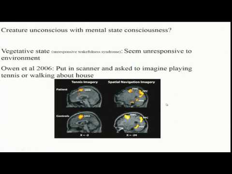 Theories of conscious versus unconscious mental states