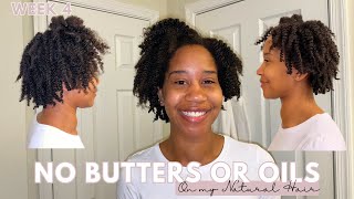 Natural Hair Detox: Week 4 of No Raw Butters or Oils | 3 Hour Wash Day | Gabrielle Ishell