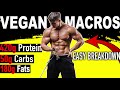 VEGAN BODYBUILDING MACROS 101 | How much Protein!?
