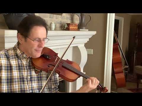 Andreas  Guarnerius Label 4/4 full size violin image 10