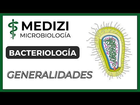 Microbiology - Bacteriology - Introduction to Bacteriology