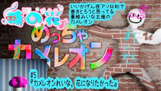 【めっちゃカメレオン】夜アソ日和メンツだけど蒼維みいな主催のカメレオン　#5【かくれんぼ】