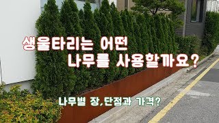 생울타리 정보 영상~  /정원/조경/나무울타리/