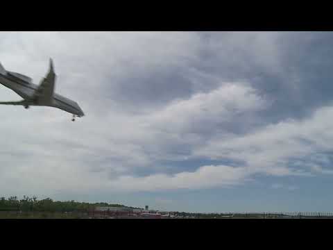 Teterboro Canada Geese