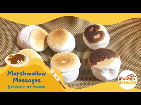 Secret Marshmallow Messages