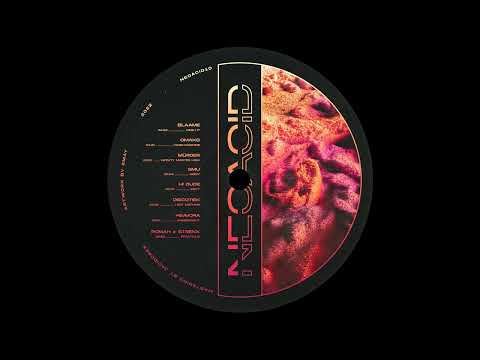 Blaame - Dash It [NEOACID10VA]