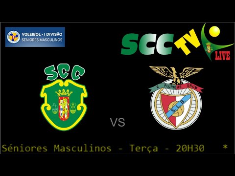 SC Caldas x SL Benfica - Voleibol 1ª Divisão 19-01-2021 - 20H30