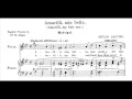 Dmitri Hvorostovsky - Amarilli (Caccini) 