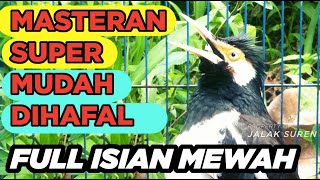 Download lagu Masteran Jalak Suren Tembakan Mewah Gacor Full Isian Cililin Tengkek Buto Jernih mp3