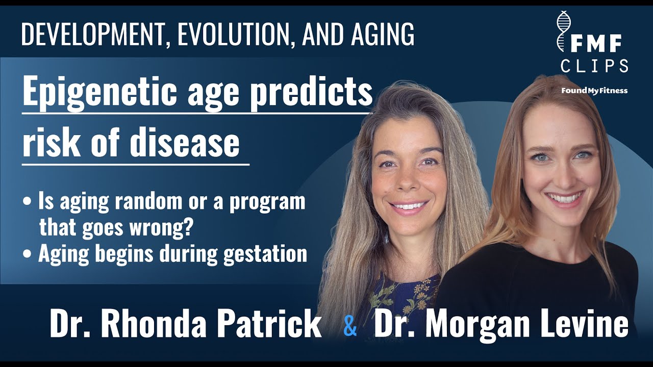 Insights into development, evolution, and aging | Dr. Morgan Levine