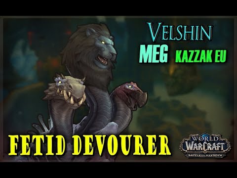 MEG VS Fetid Devourer Heroic zerg mode