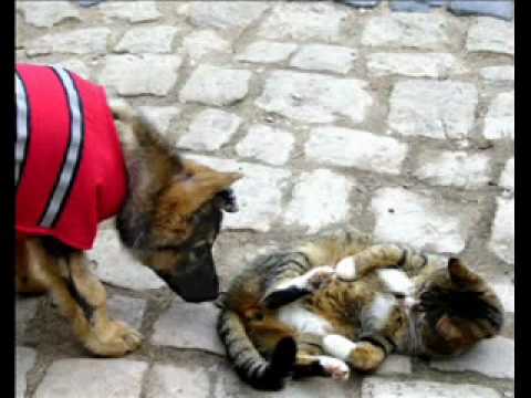 Sherina und ihr Schicksal