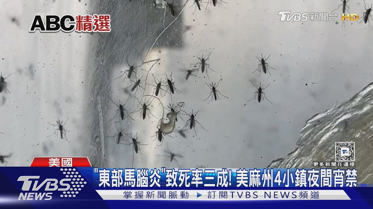 「東部馬腦炎」致死率三成!美麻州4小鎮夜間宵禁