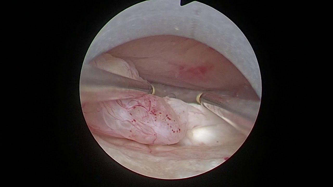 Domenico Incandela-19